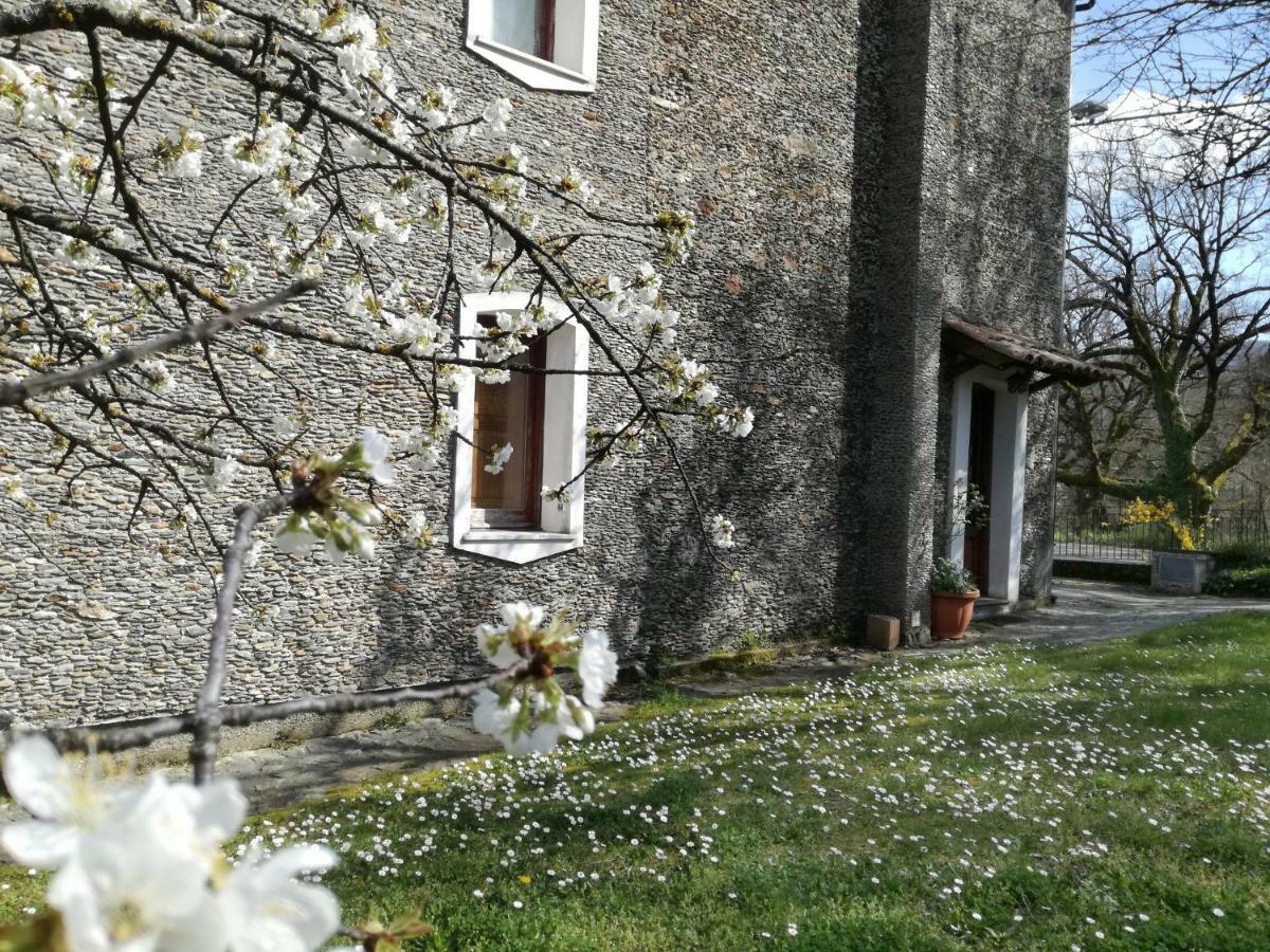 Casa Nel Verde Decollatura Buitenkant foto
