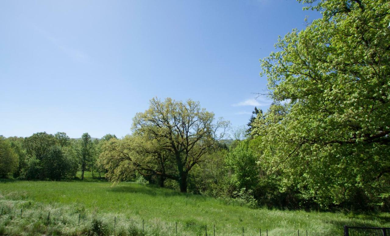 Casa Nel Verde Decollatura Buitenkant foto